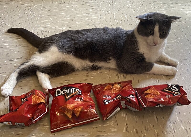 four%20doritos%20long%202.jpg